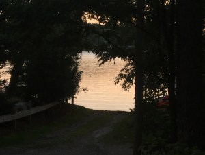 12EBB09F-82B0-4033-BC33-8A367FF0C587