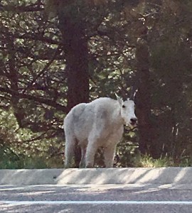 26AD21E3-FF5F-4C6A-8AEF-1BF97F731A55