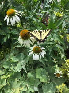 27F5FEDD-30C4-482B-8154-68229703CB1C