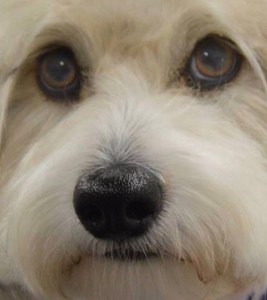 2F4B3617-3005-44E1-AFEC-A578512F39E1