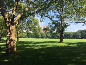 940A8C48-0752-491E-955F-091E37ECAA7F