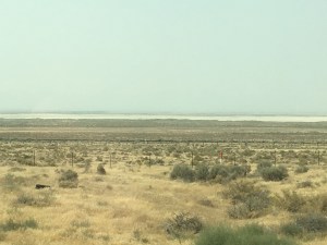 F68CF4BC-958D-4BC0-90B9-0DFCDF0AE94D