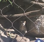 990FDB9D-6A1F-4A7E-9E2D-BB2FA6075025